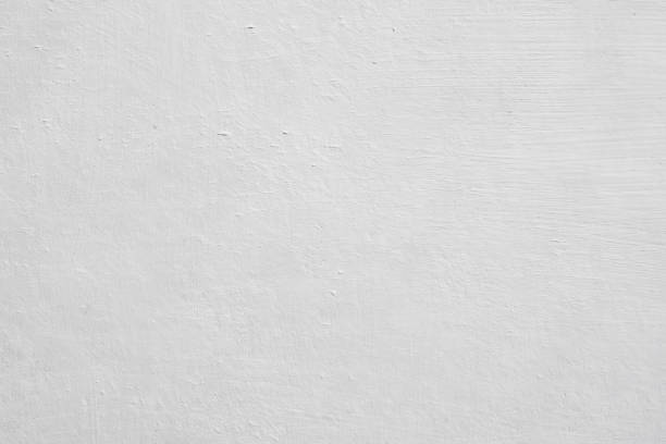 Best Mold Damage Restoration  in Sparks, TX