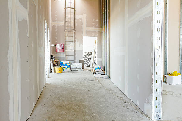Best Mold Prevention Services  in Sparks, TX