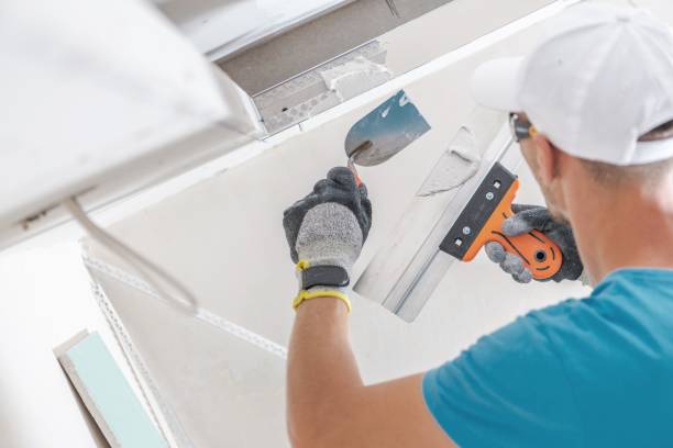  Sparks, TX Mold Removal Pros